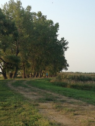 20150822_000547723_iOS