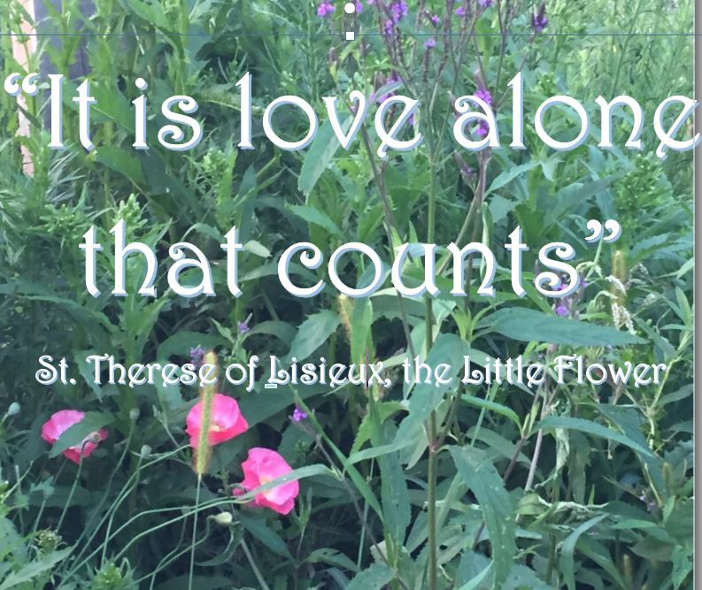 Love alone counts